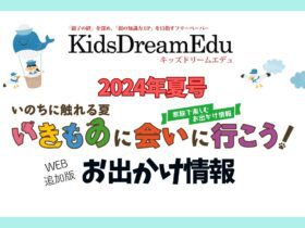 2024年お出かけ情報,Kids Dream Edu,動物園,水族館,夏のお出かけ